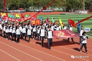 运动会开幕视频,活力绽放——运动会开幕视频精彩回顾