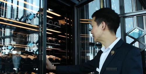 侍酒师视频,跟随侍酒师探寻葡萄酒的奥秘之旅