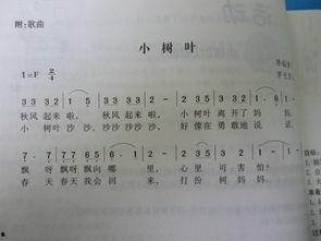 小树叶歌曲视频,童声悠扬，自然之美