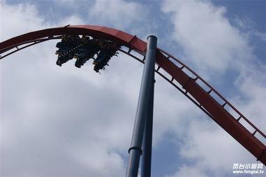 绝顶雄风视频,巅峰对决，谁主沉浮