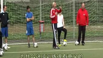 施泰纳视频,视频中的智慧之光