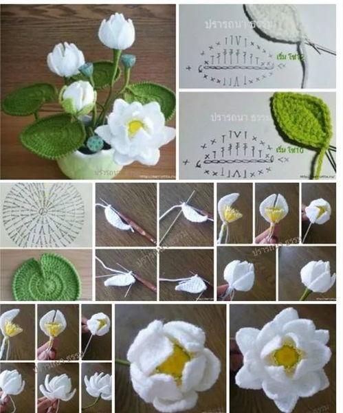 玫瑰花叶子的勾法视频,轻松掌握花叶绘制技巧