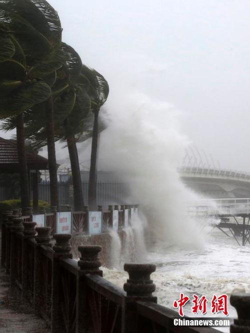 莎莉嘉视频,揭秘网红背后的故事
