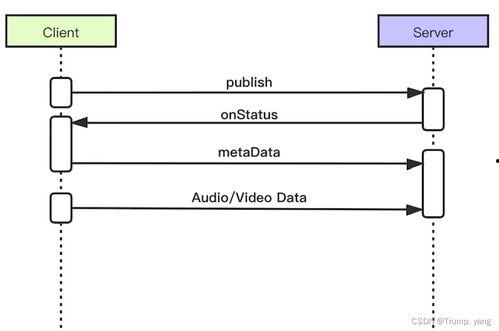 视频流解析,捕捉瞬间，洞察全局