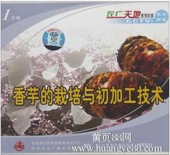 香芋种植技术视频,从播种到收获的全程指导