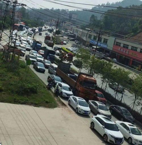 新兴县视频,探寻岭南水乡的韵味与活力