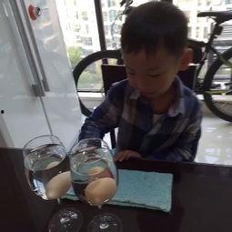 鸡蛋沉浮实验视频