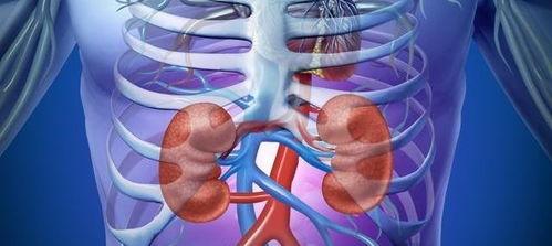 兜肾囊功视频,揭秘古老养生秘法的现代实践